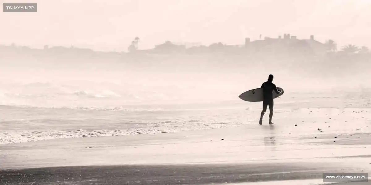 行业领先的理由